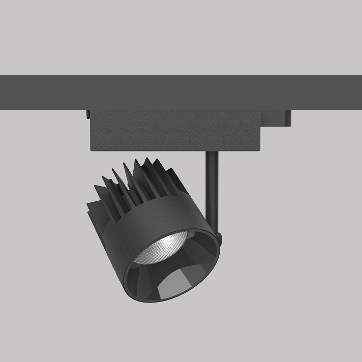 Go Pro 70 HGB Track Light