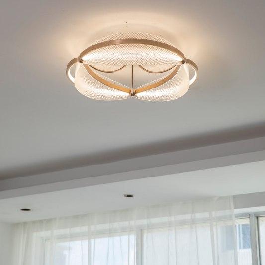 Luminous Halo