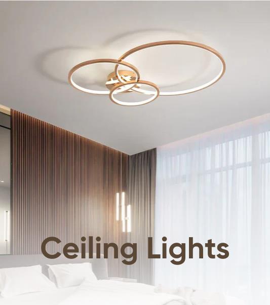 Ceiling lights